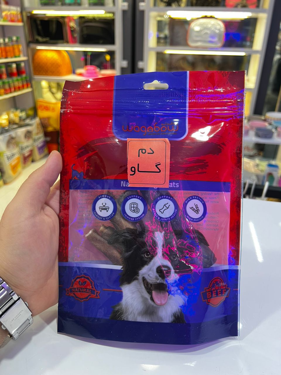 دم گاو